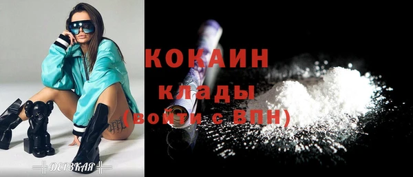 ешки Алексин