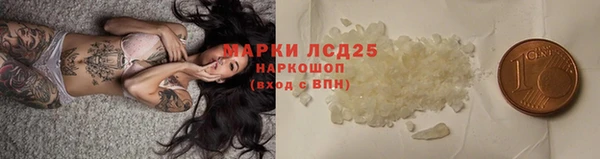 прущие грибы Алзамай