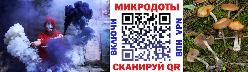Псилоцибиновые грибы мицелий  Лесной 